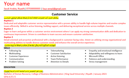 Customer Service CV