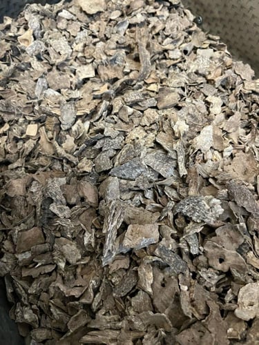 فيتنامي تشار قشور سوبر وسوبر مرتفع