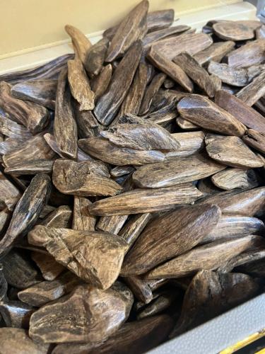 عود مروكي محسن ' مجالس الكرام '