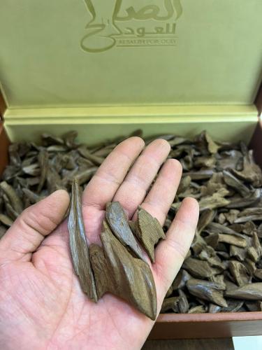 مروكي الخير آصقون