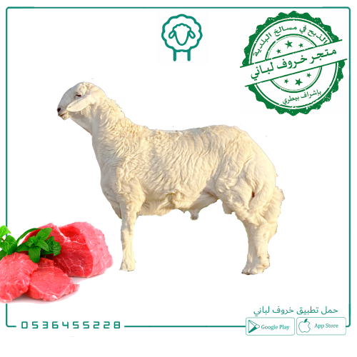 أضحية حري جذع - جبر