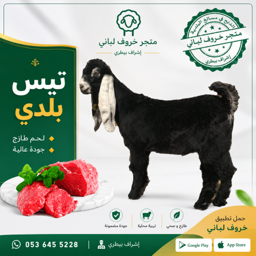 تيس جذع وسط