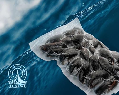 بلح البحر ( قشر كامل )