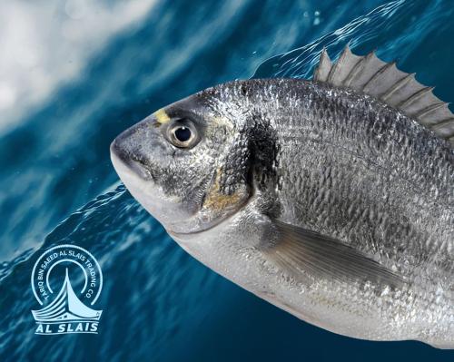 سيبريم 600/400 جرام