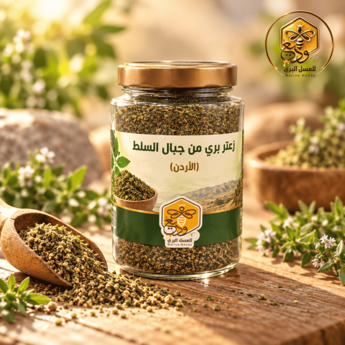 زعتر