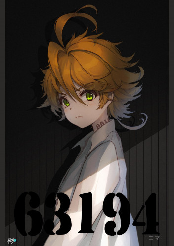 The promised neverland (6)
