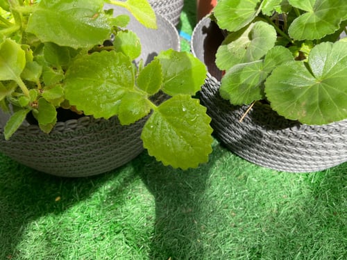 مزهرية24سم لون رمادي فاتح وغامق