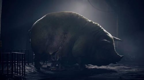 ريأنـيـمـال | REANIMAL