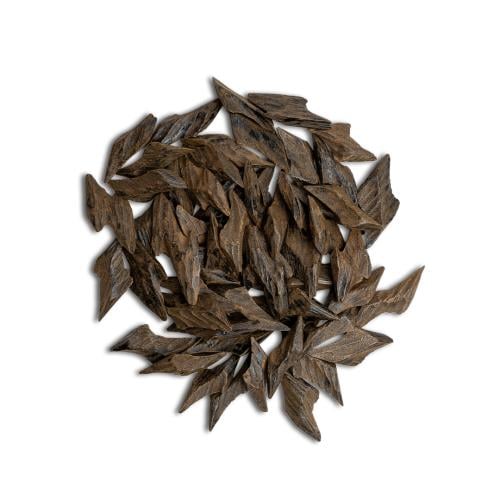 تايقر جاكرتا الفاخر