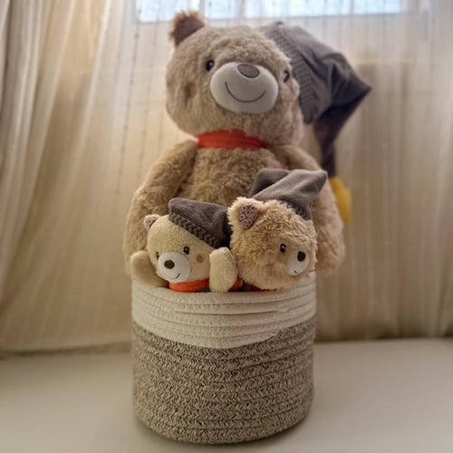 مجموعة الدب