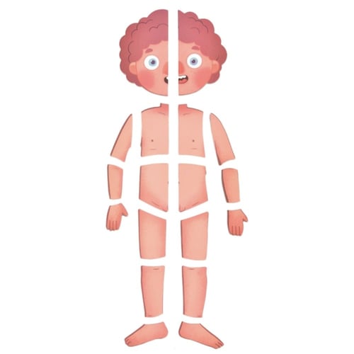 تركيب اجزاء الجسم للاطفال