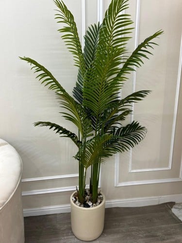 شجرة بحوض سراميك