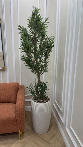 شجرة زيتون صناعية فاخرة في مركن سيراميك أسود