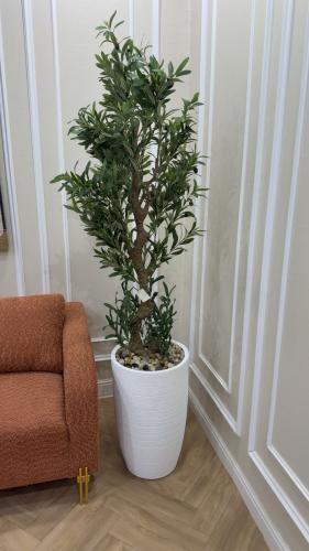 شجرة زيتون صناعية فاخرة في مركن سيراميك أسود