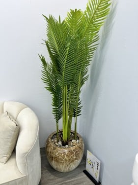 شجرة مركن سراميك