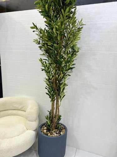 شجرة مركز سراميك