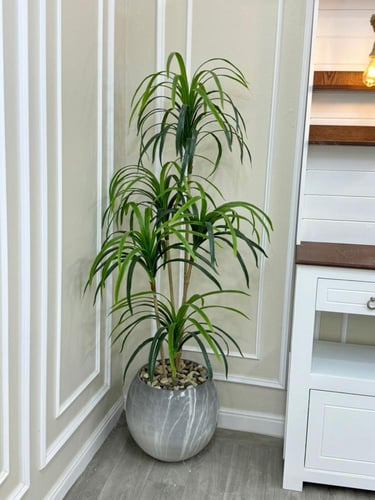 شجر حوض سراميك