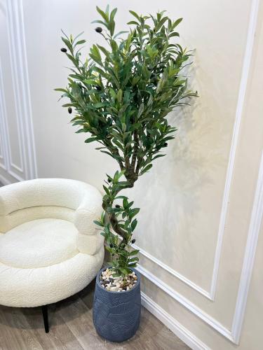 شجر مركن سراميك