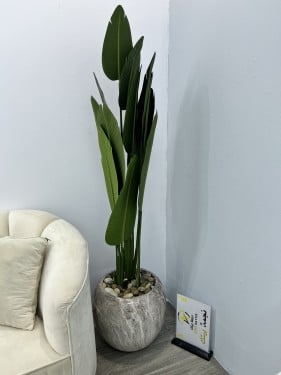 شجره مركن سراميك