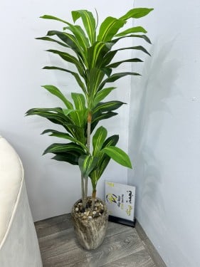 شجره مركن سراميك