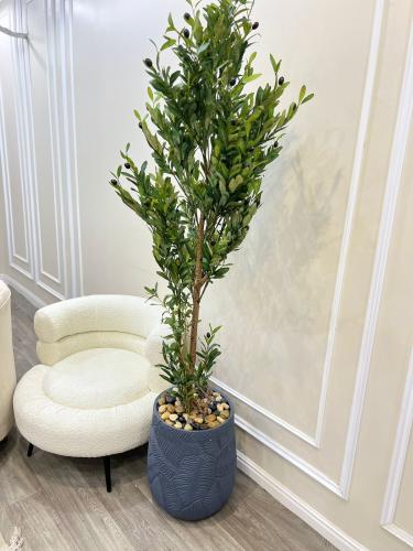 شجر مركن سراميك