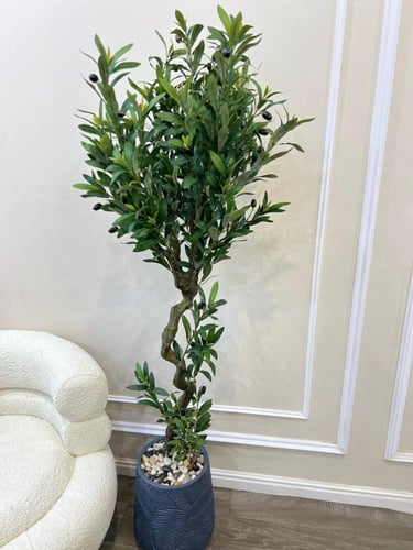 شجر مركن سراميك