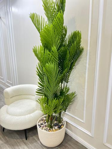 شجر مركن سراميك