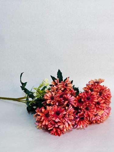 ورد الأقحوان لون برتقالي