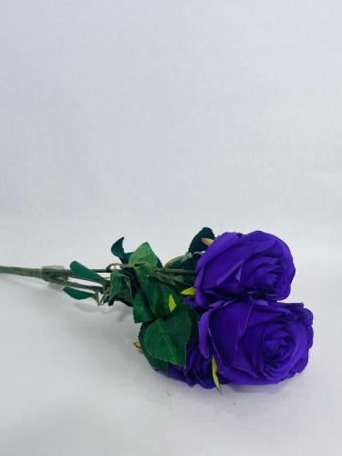 ورد جوري لون موف