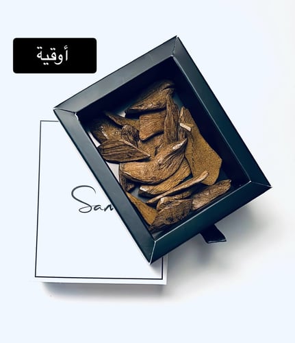 عود مروكي حجم وسط