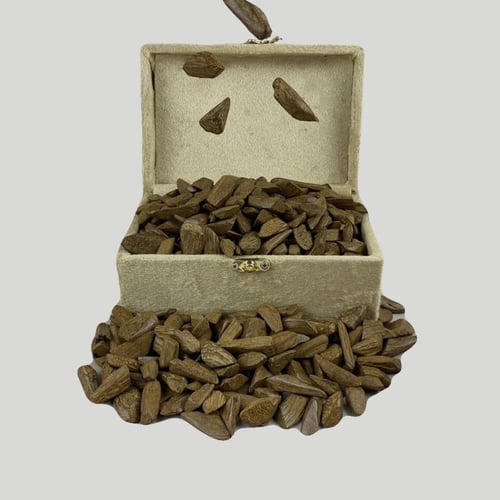 عود مروكي ميني سوبر