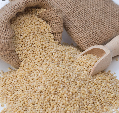 خلطة الذره التام (ذره -دبي -دخن -فيد -شعير )