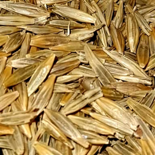 خضيره او سويقه