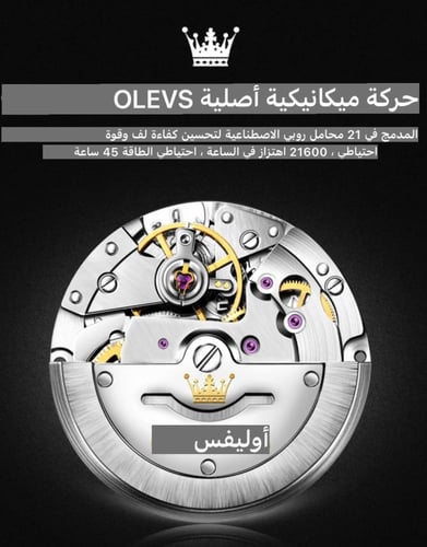 ساعة ميكانيكية أوتوماتيكية فاخرة من العلامة التجار...