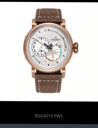 الساعات العسكرية الطيار جلد طبيعي RGA3019 ريف النم...