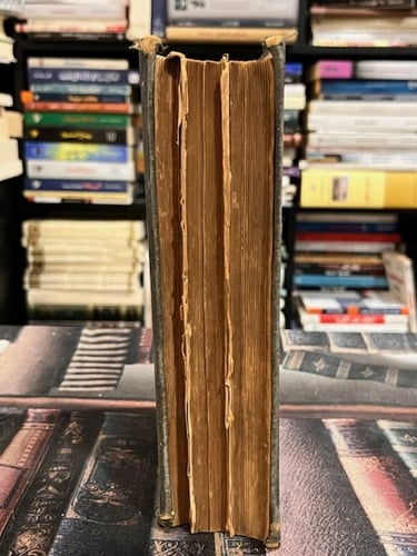 White's material medical therapeutics