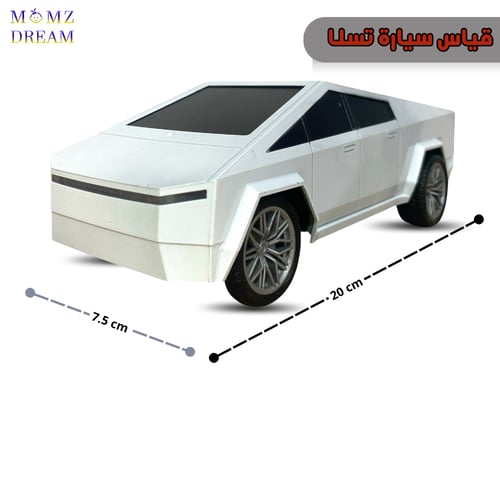 سيارة تسلا ، مع جهاز تحكم عن بعد للأطفال.