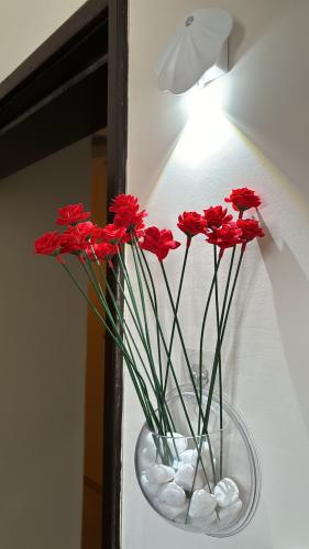 فازه ورود حمرا شفافه جداريه مع المعلاق