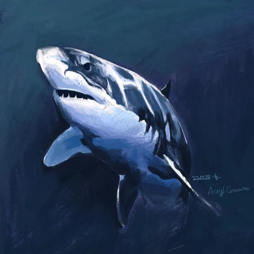 فرش بروكرييت | مجموعة ألوان الغواش