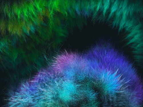 فرش بروكرييت | فرش الفراء الواقعية