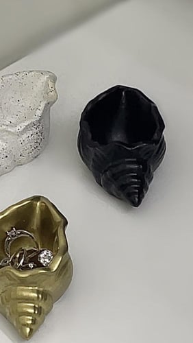 ديكور الصدفة – لمسة بحرية أنيقة لديكورك