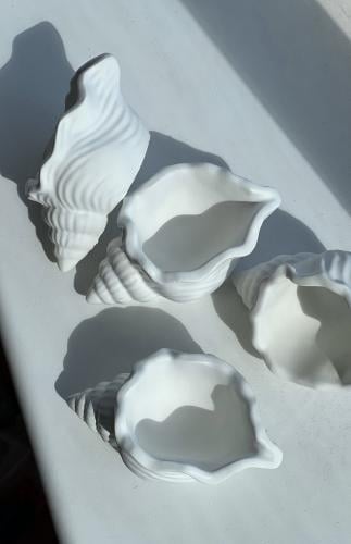 ديكور الصدفة – لمسة بحرية أنيقة لديكورك