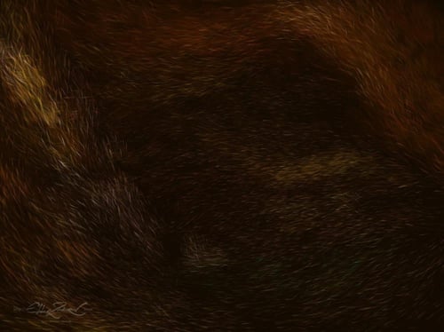 فرش بروكرييت | فرش الفراء الواقعية