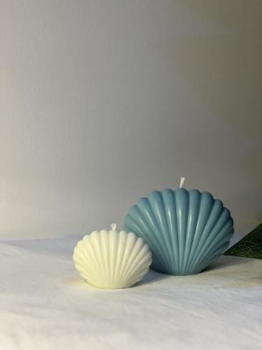 شموع الصدف حجم كبير و صغير