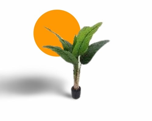 شجر زينة