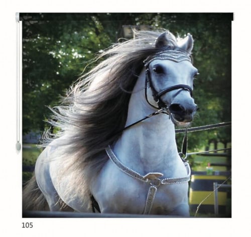 ستائر رول ثري دي