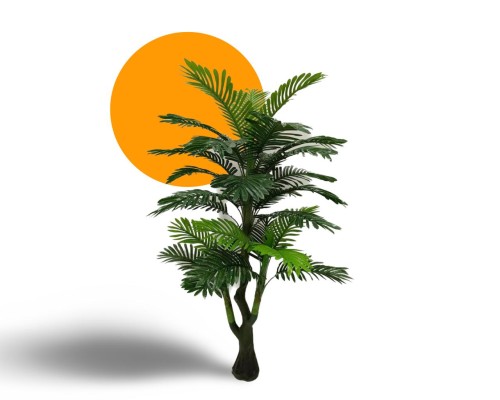 شجر زينة