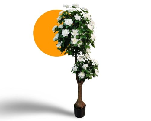 شجر زينة