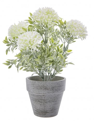 إناء مع أزهار Lavender