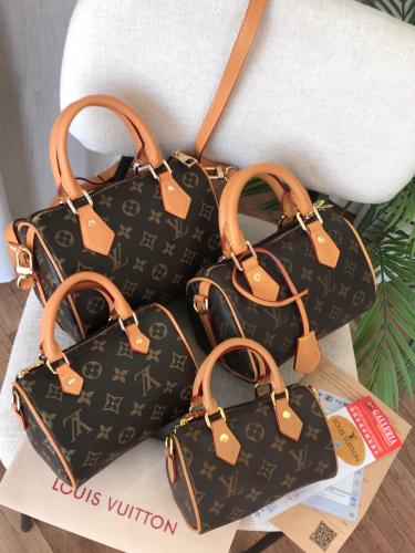 شنطة لويس فيتون